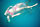 Swimming