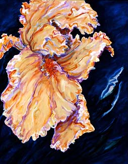 Iris